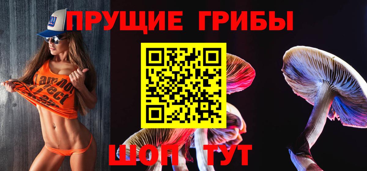 Норильск  купить закладку  Вход с VPN  Галлюциногенные грибы MAGIC MUSHROOMS 