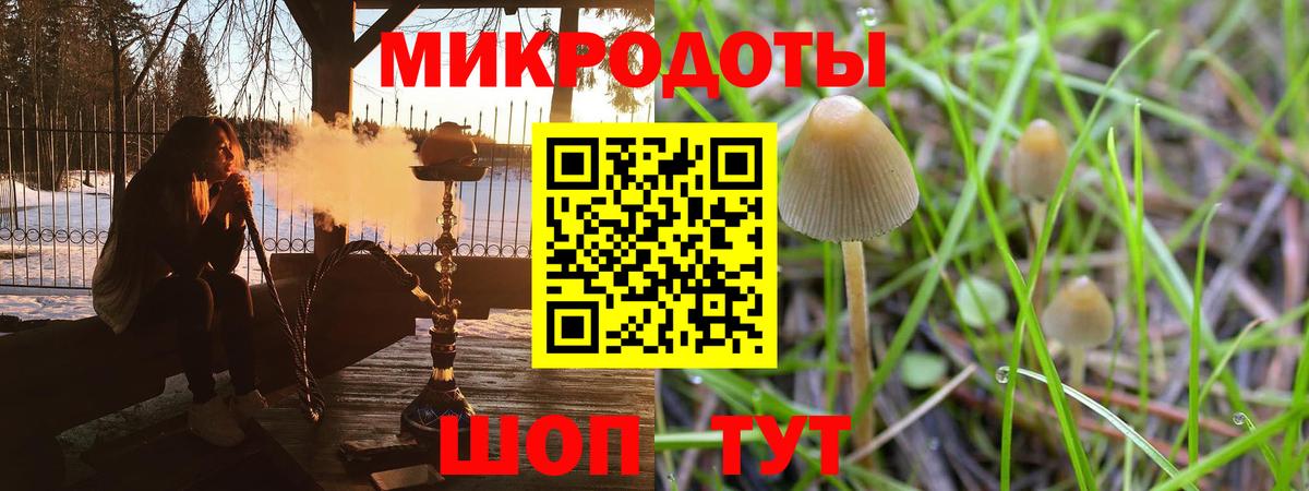 Галлюциногенные грибы Psilocybe Норильск